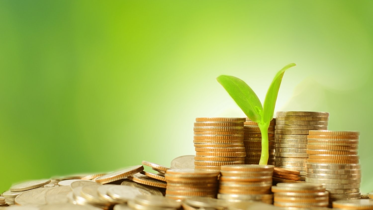 内蒙古市场监管局全面排查外卖配送平台安全生产隐患